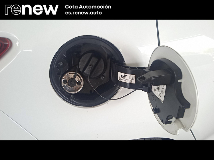 Renault Clio BUSSINES GLP foto 15