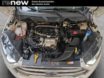 Ford Ecosport Titanium miniatura 21