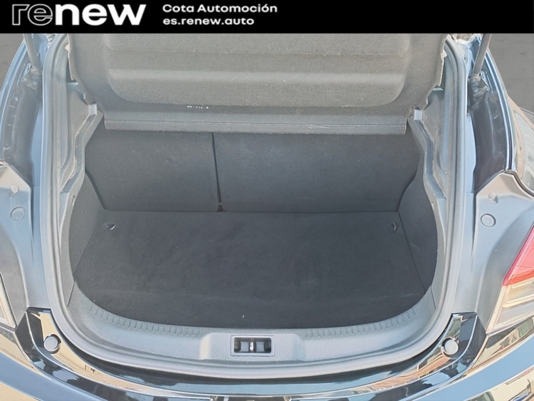 Renault Megane Coupe Dynamique foto 18