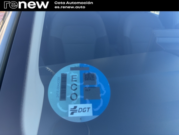 Dacia Sandero Stepway Extreme Go foto 21