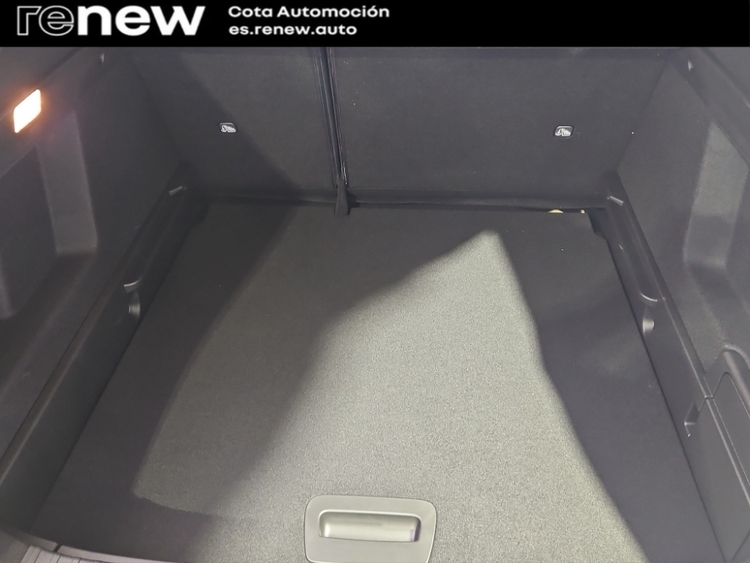 Renault Arkana Evolution foto 18