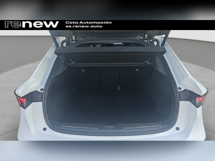 Renault Rafale 200 E-Tech Full Hybrid Esprit Alpine foto 18