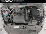 Volkswagen Beetle Dune BMT miniatura 21