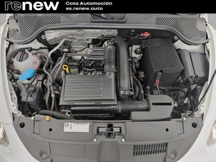 Volkswagen Beetle Dune BMT foto 21
